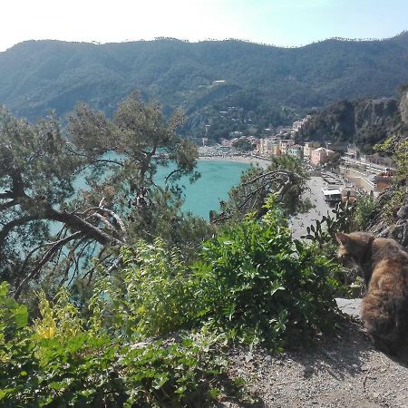 Il Sogno Apartments Monterosso al Mare Buitenkant foto